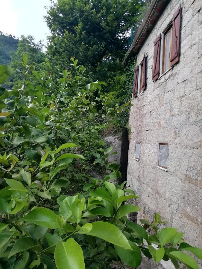 Hôtel Campismo Rural Vale dos Moinhos Gerês Extérieur photo